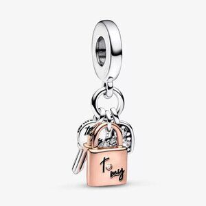 Pandora charms